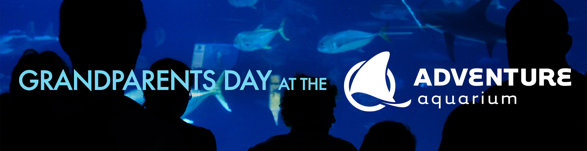 Grandparent’s Day at Adventure Aquarium